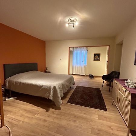 Bel Appartement En Rdc Proche Strasbourg Nice Apartment Very Near Strasbourg Exterior foto