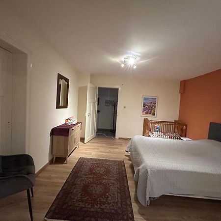 Bel Appartement En Rdc Proche Strasbourg Nice Apartment Very Near Strasbourg Exterior foto