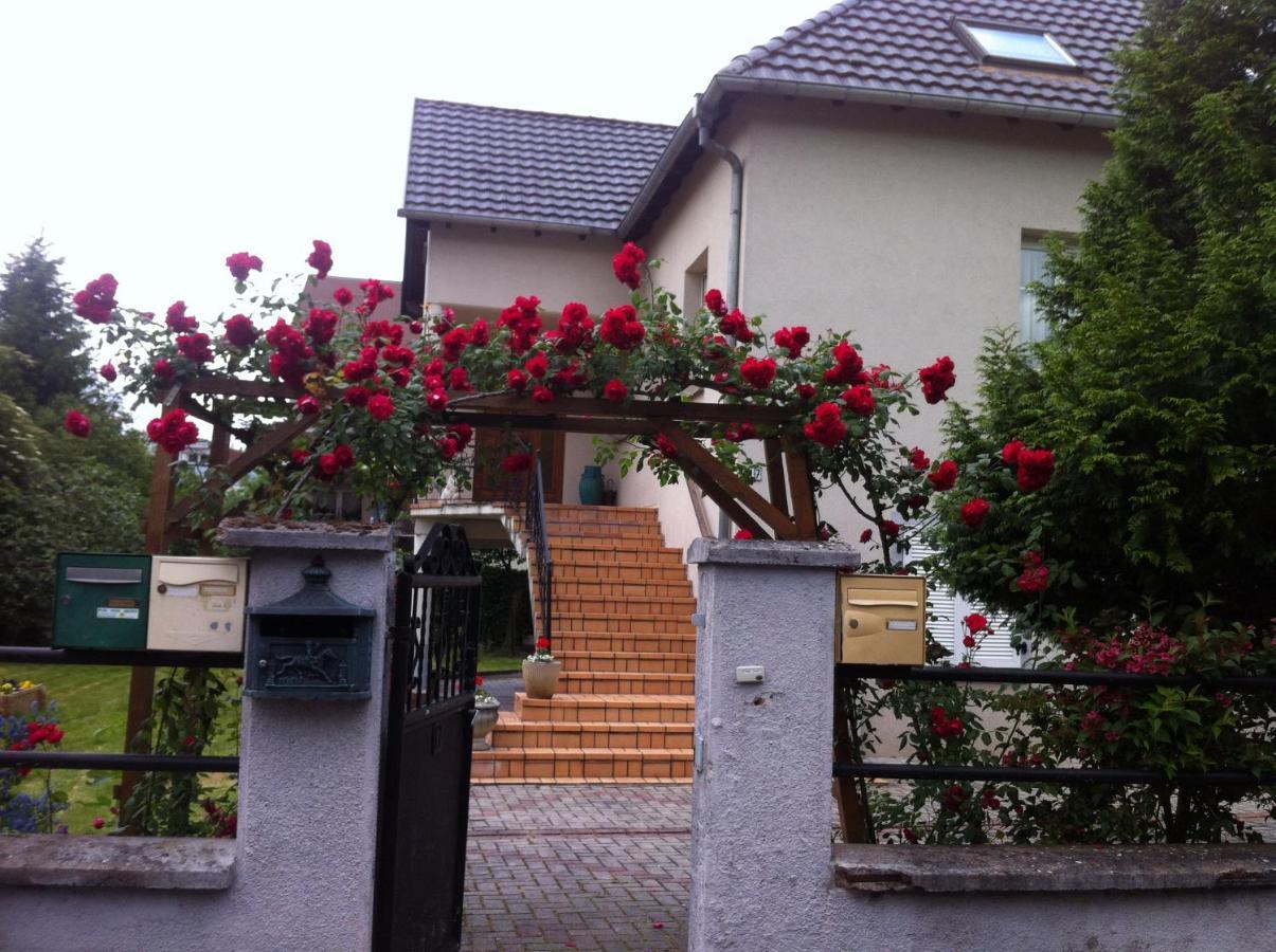 Bel Appartement En Rdc Proche Strasbourg Nice Apartment Very Near Strasbourg Exterior foto