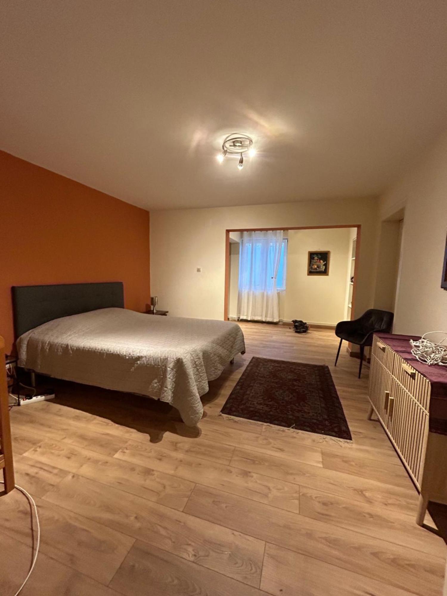 Bel Appartement En Rdc Proche Strasbourg Nice Apartment Very Near Strasbourg Exterior foto