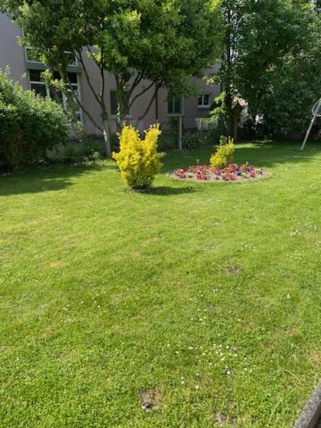 Bel Appartement En Rdc Proche Strasbourg Nice Apartment Very Near Strasbourg Exterior foto
